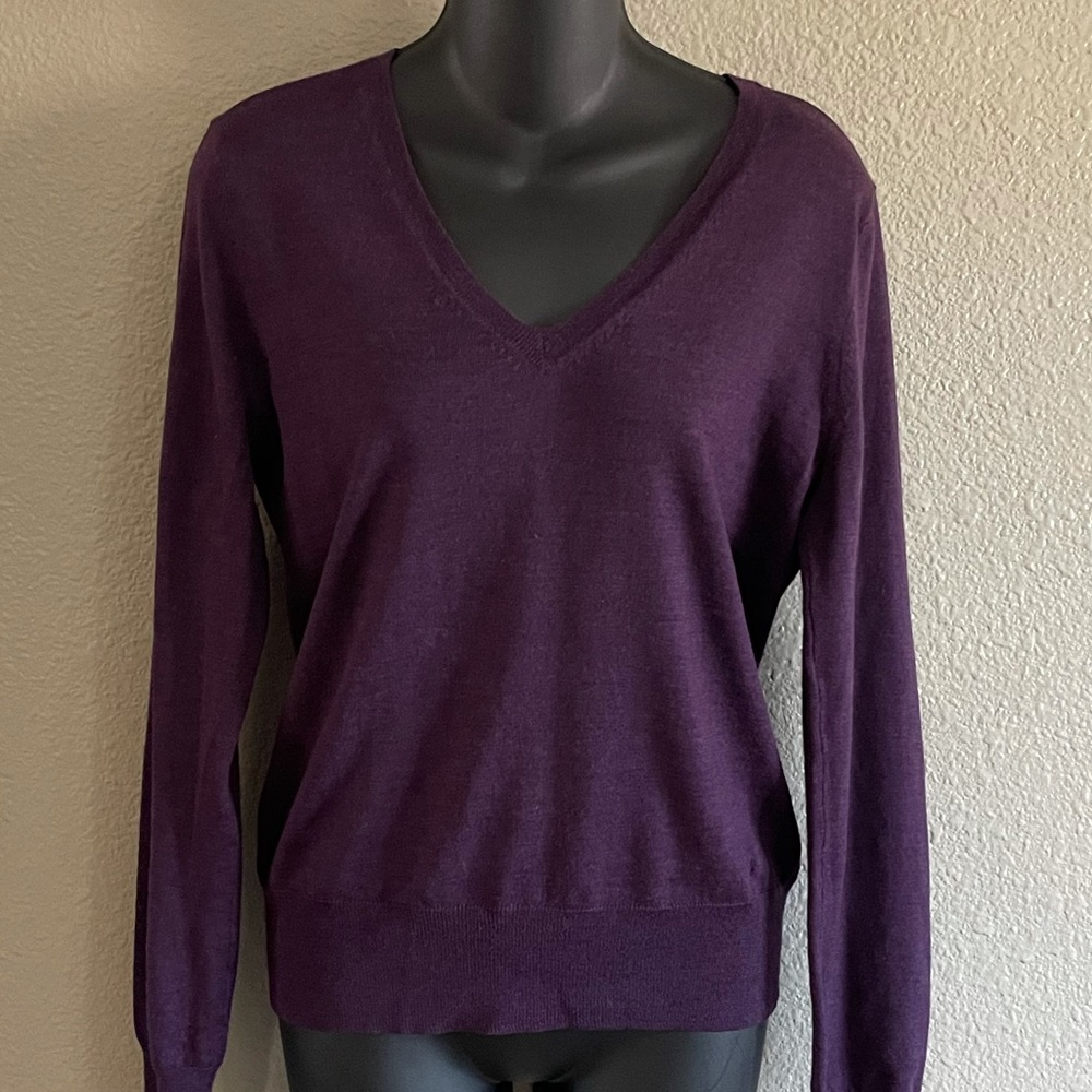 Club Monaco Merino Wool Sweater